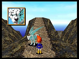 Talking to a flying leopard?